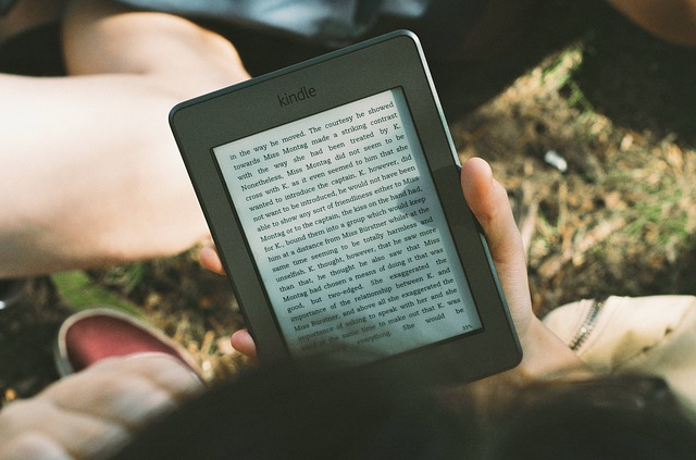 kindle as a result of turning your blog into a book